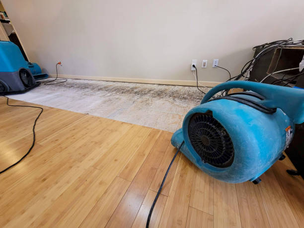 Professional Water Removal technician working in Quitaque, TX